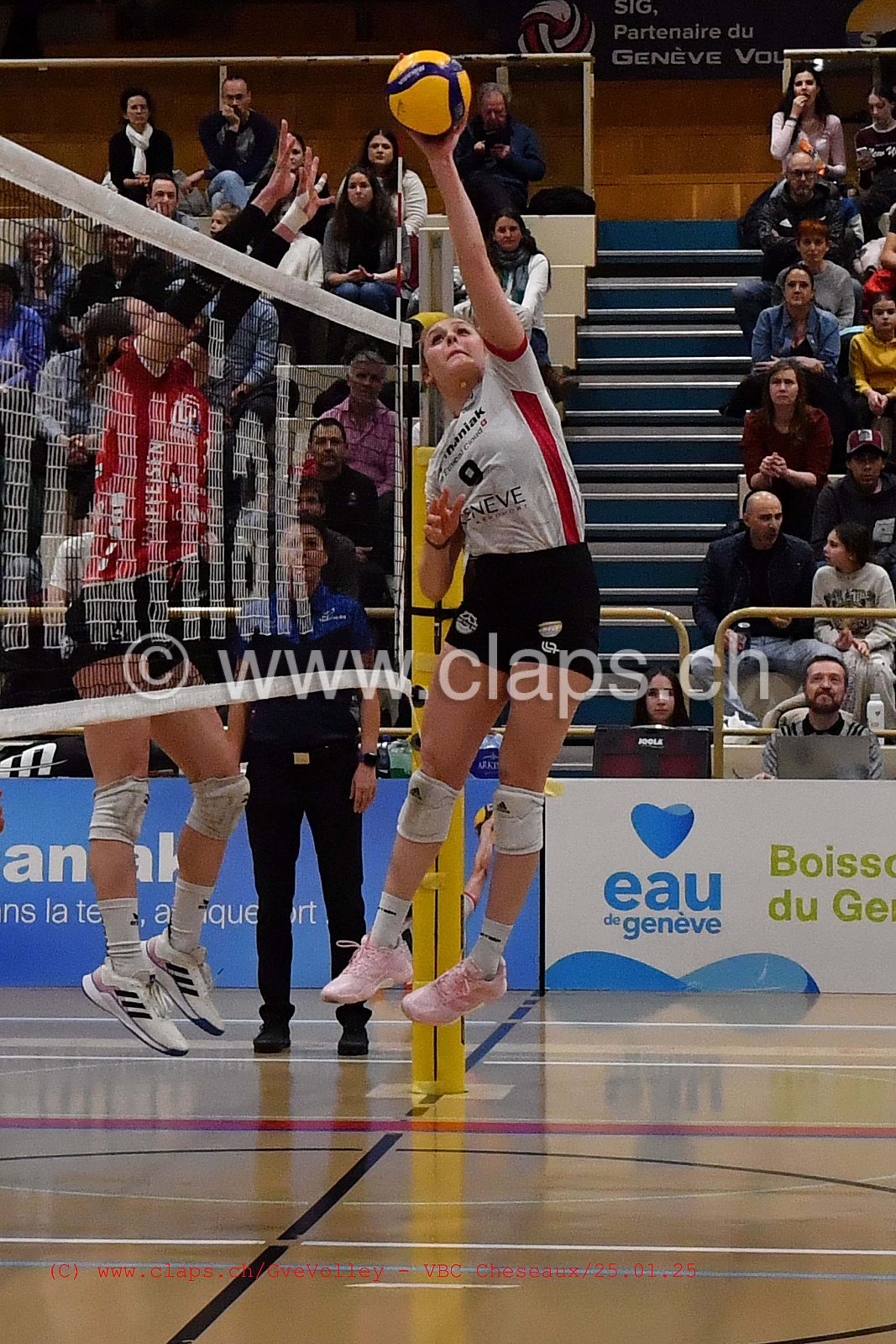 20250125_Infomaniak_GeneveVolley_Cheseaux