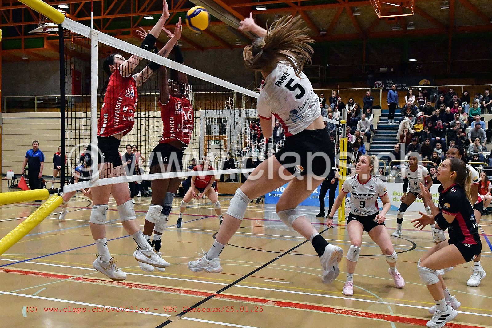20250125_Infomaniak_GeneveVolley_Cheseaux