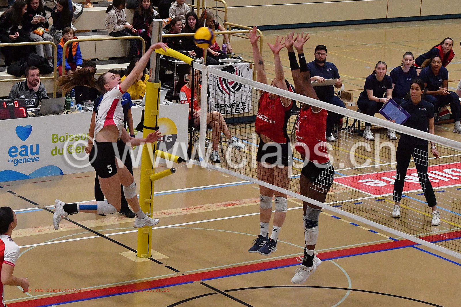 20250125_Infomaniak_GeneveVolley_Cheseaux