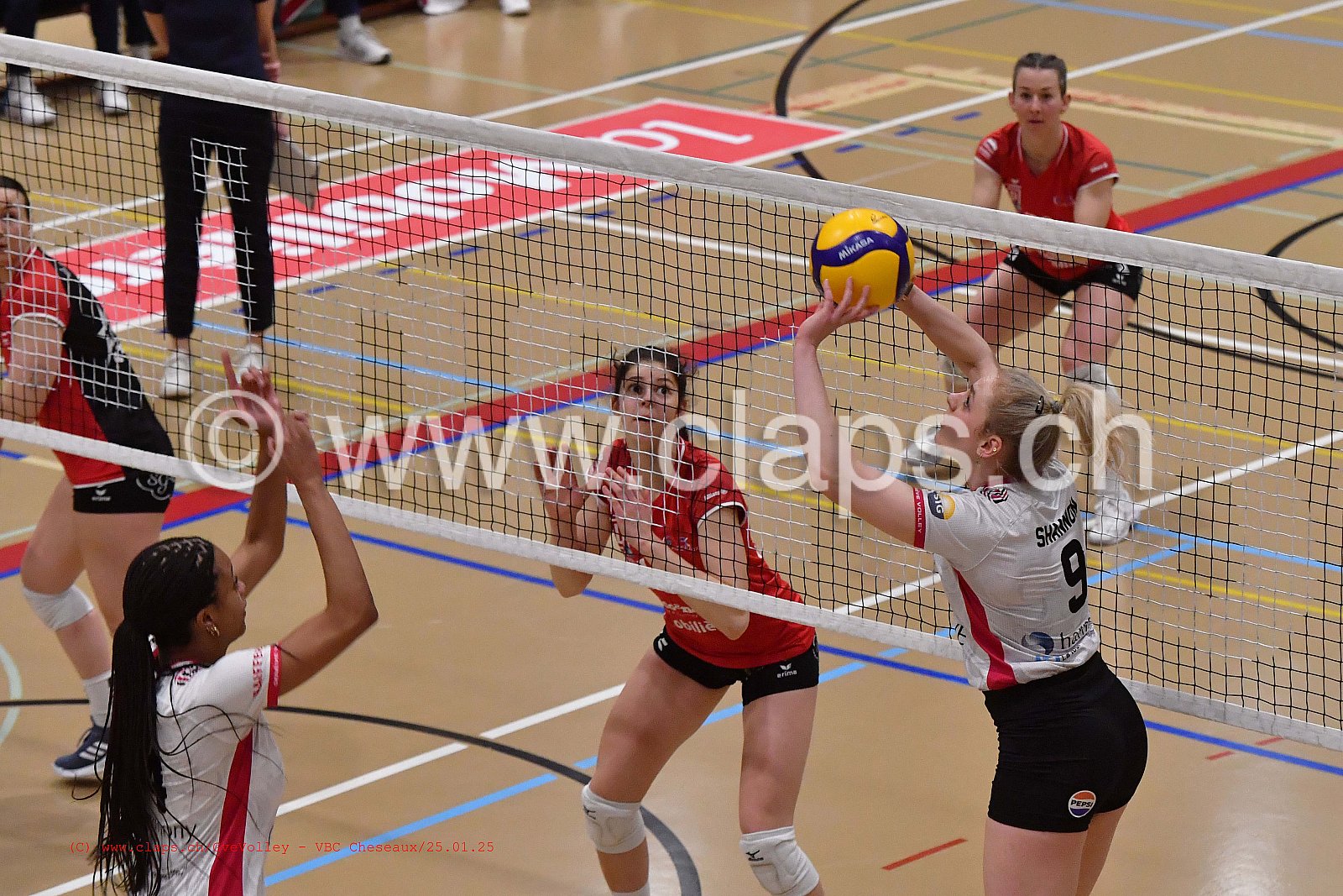 20250125_Infomaniak_GeneveVolley_Cheseaux