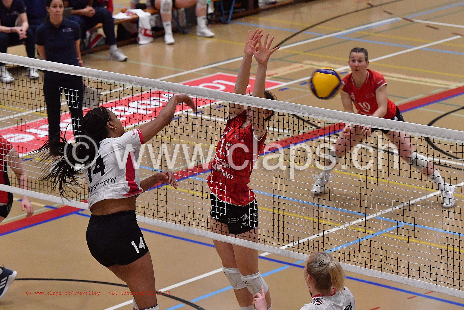 20250125_Infomaniak_GeneveVolley_Cheseaux