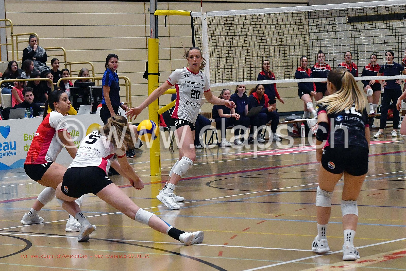 20250125_Infomaniak_GeneveVolley_Cheseaux