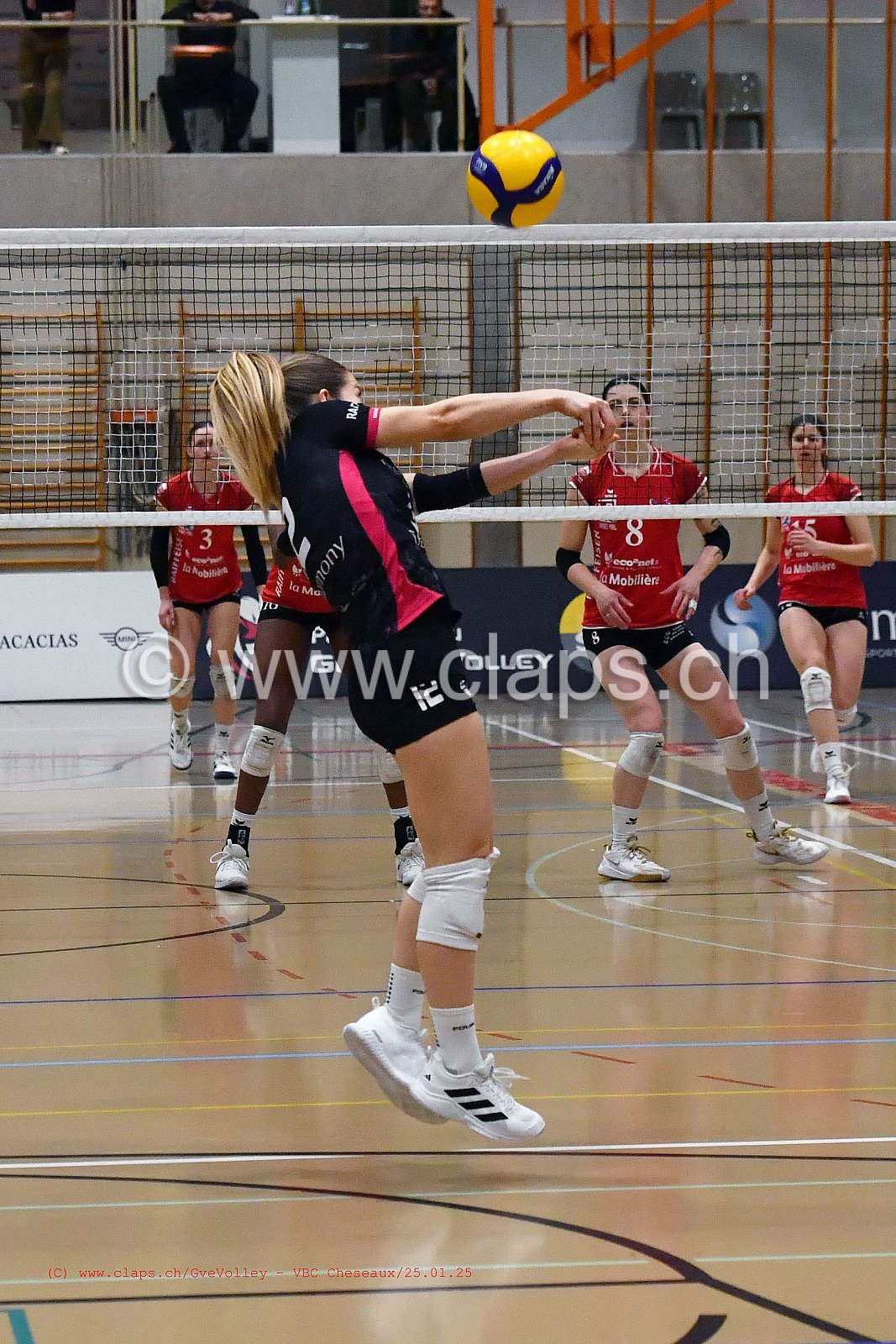 20250125_Infomaniak_GeneveVolley_Cheseaux