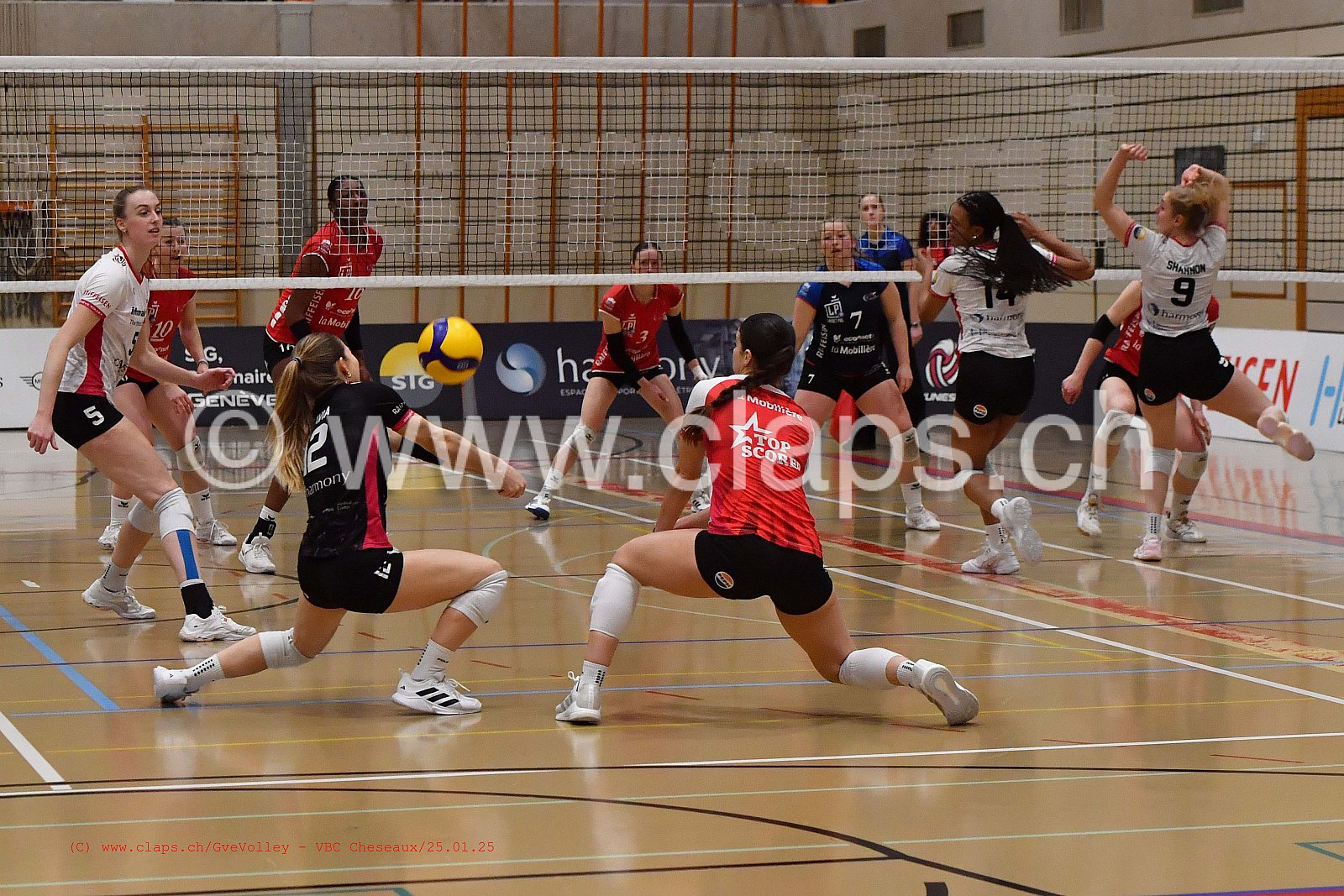 20250125_Infomaniak_GeneveVolley_Cheseaux
