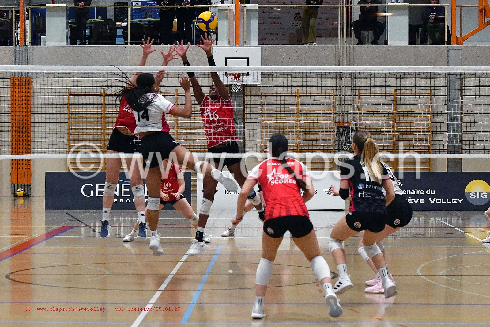 20250125_Infomaniak_GeneveVolley_Cheseaux