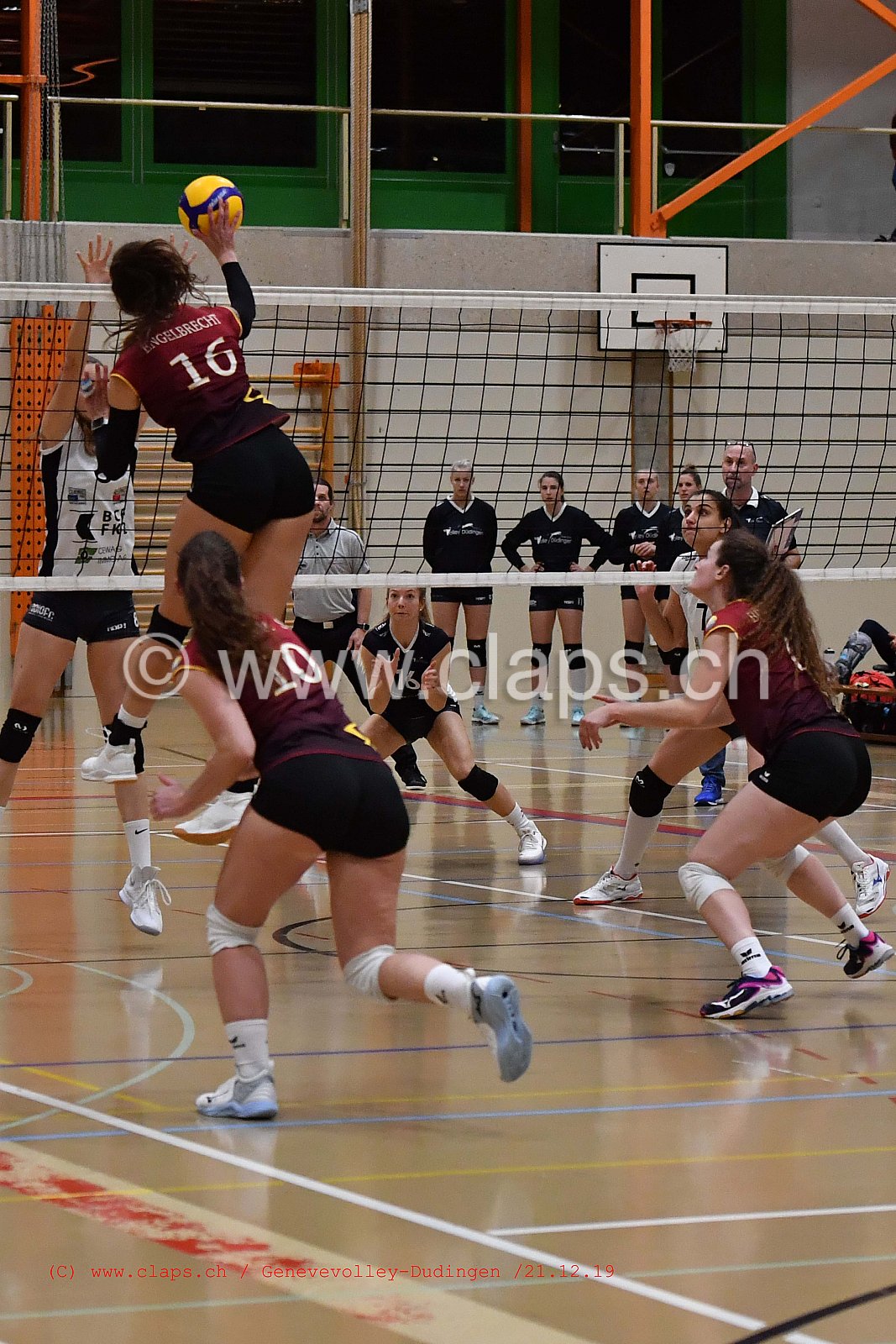 GeneveVolley - Dudingen