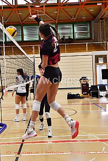 20230924 GveVolley - Duedingen Amical