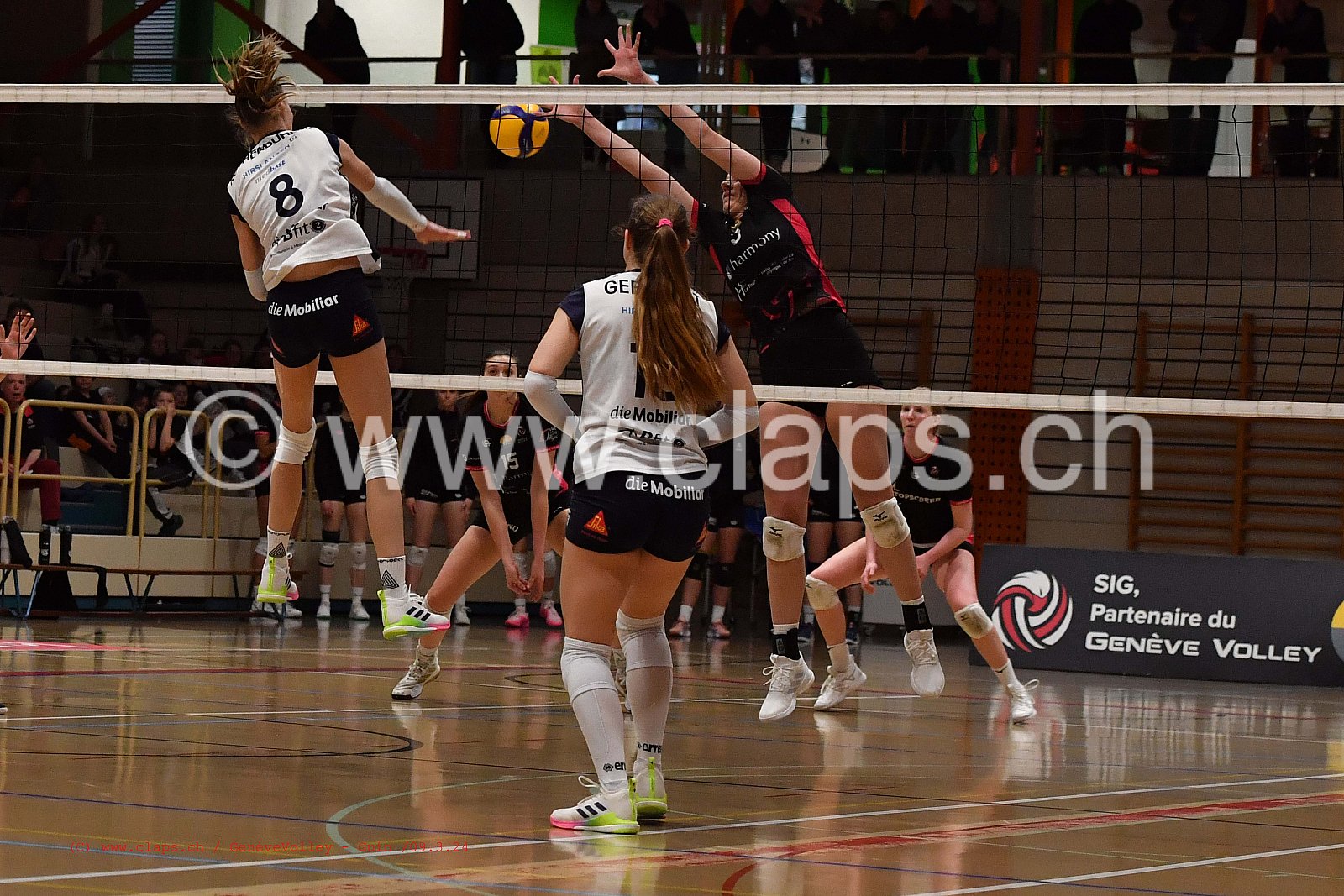 20240309 GeneveVolley_Duedingen