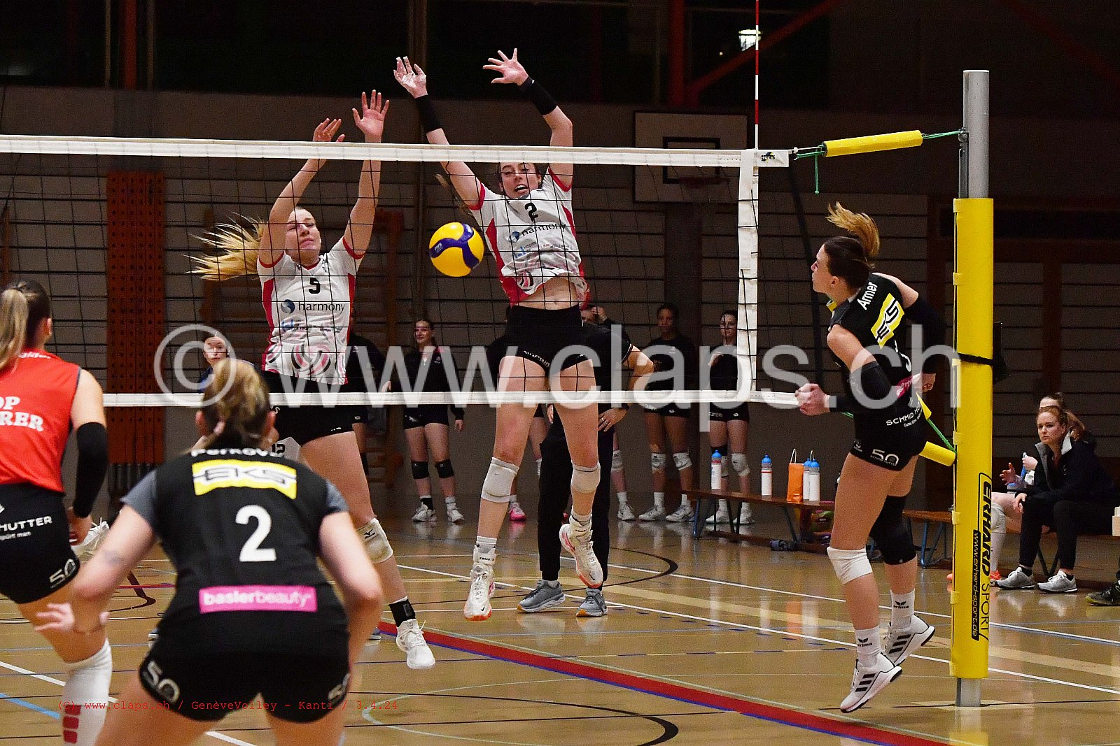 20240403 GeneveVolley_Kanti