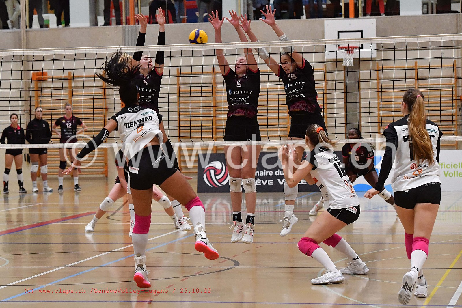 20221023 GeneveVolley - Lugano