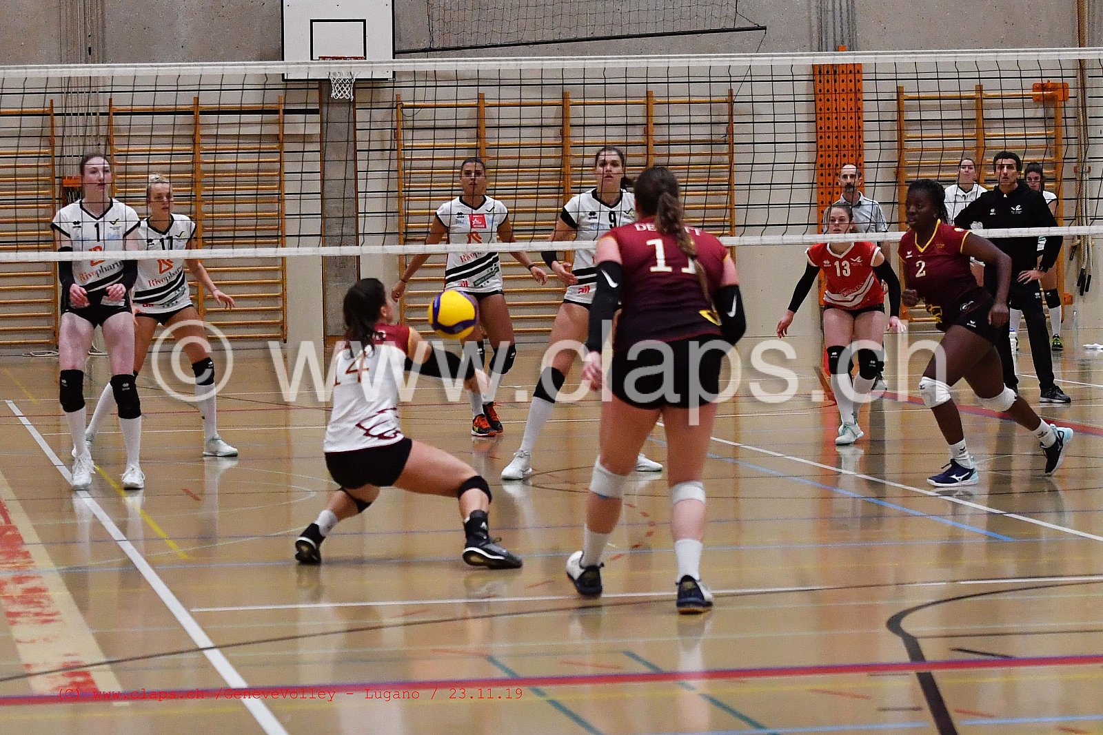 GeneveVolley - Lugano