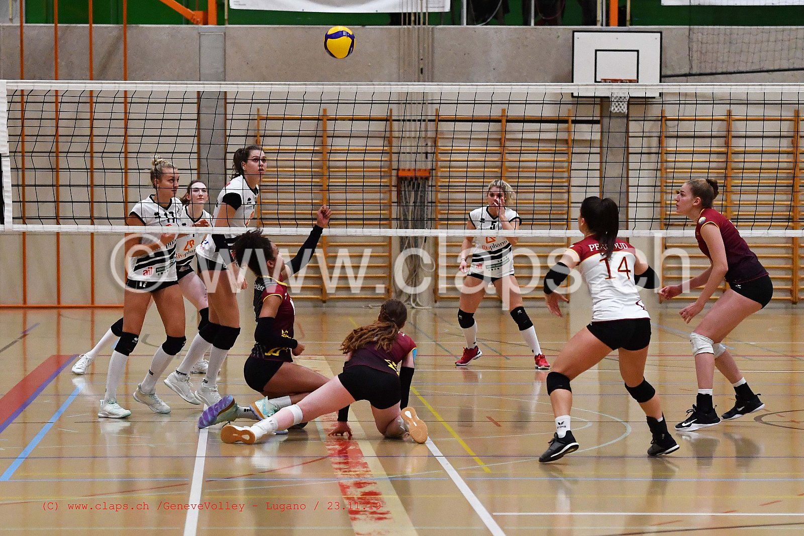 GeneveVolley - Lugano