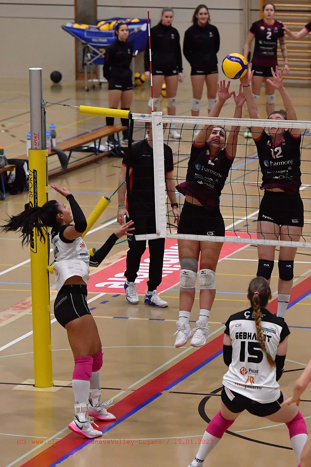 20230115 GenèveVolley - Lugano coupe Suisse