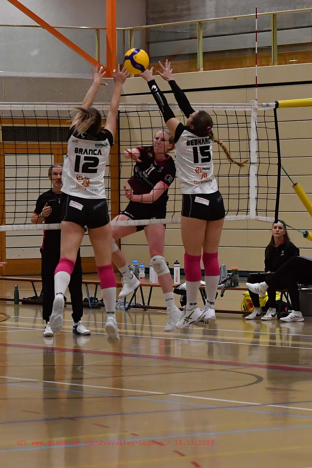 20230115 GenèveVolley - Lugano coupe Suisse