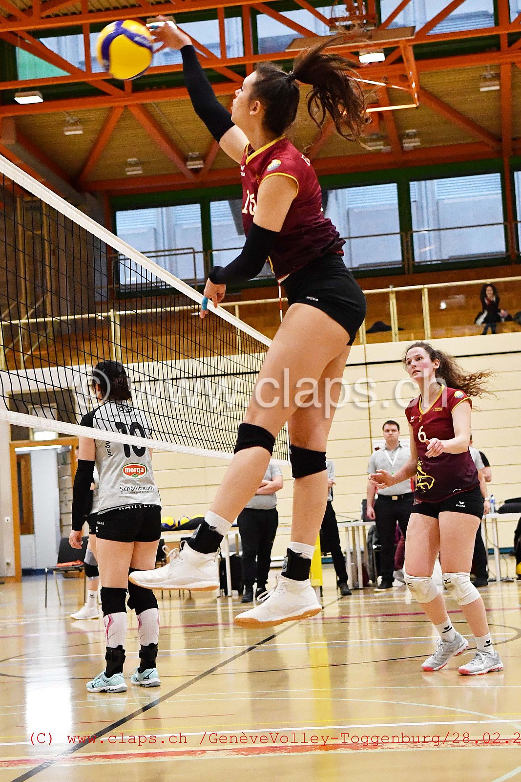 GeneveVolley - Toggenburg