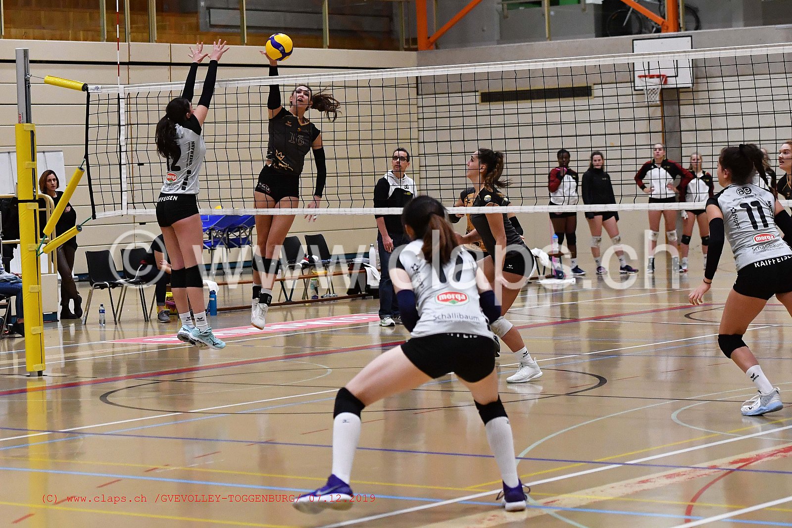 GeneveVolley - Toggenburg