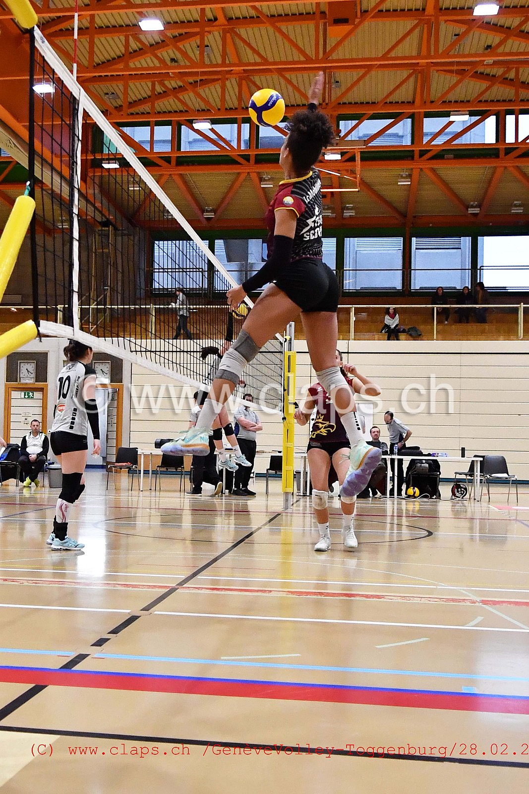 GeneveVolley - Toggenburg