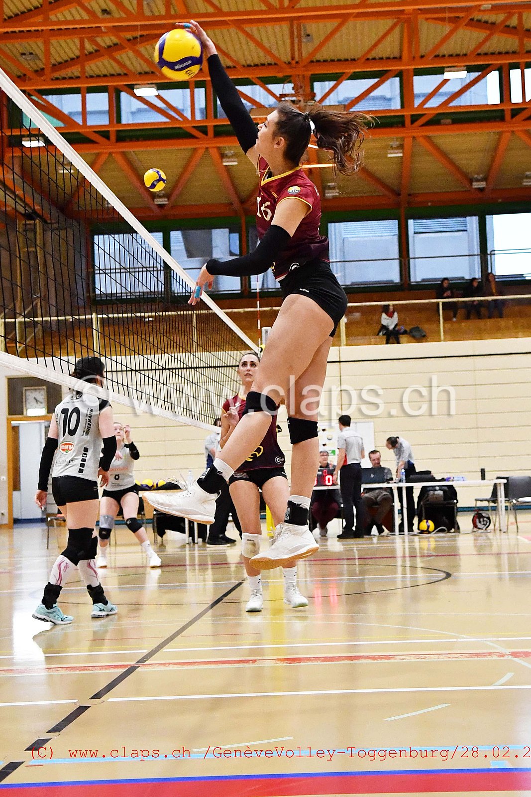 GeneveVolley - Toggenburg