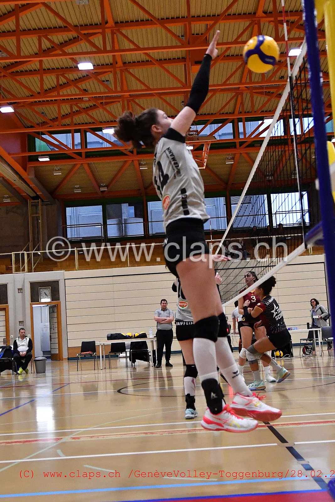 GeneveVolley - Toggenburg