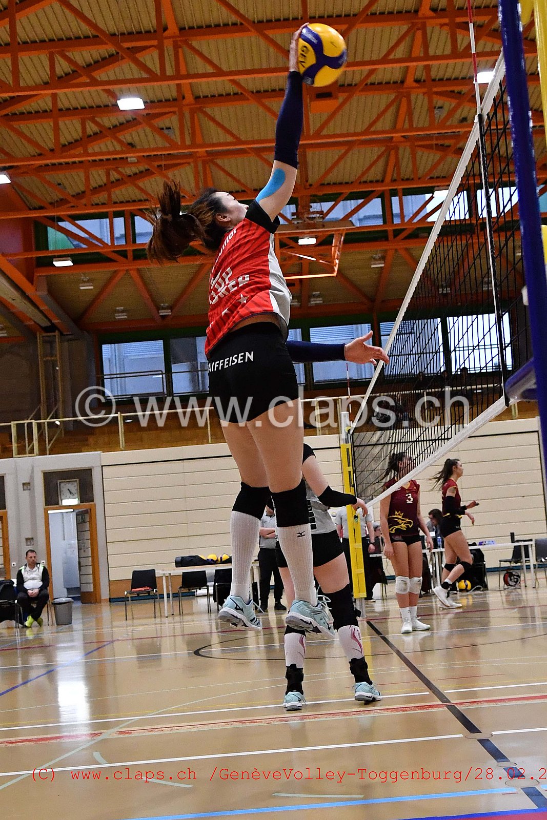 GeneveVolley - Toggenburg