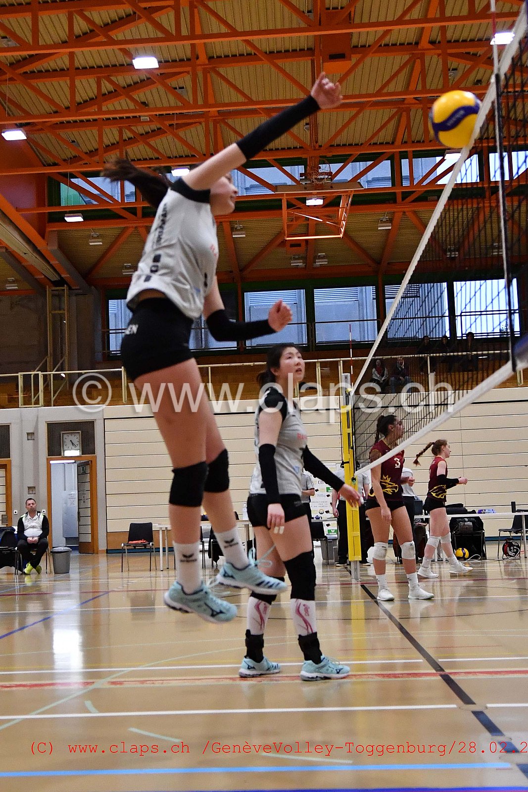 GeneveVolley - Toggenburg