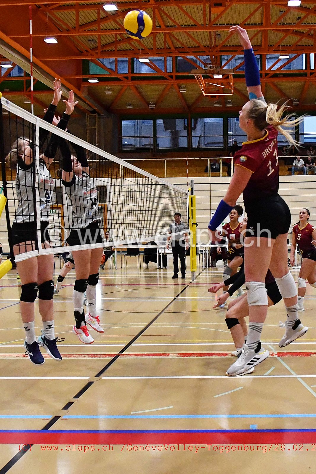 GeneveVolley - Toggenburg