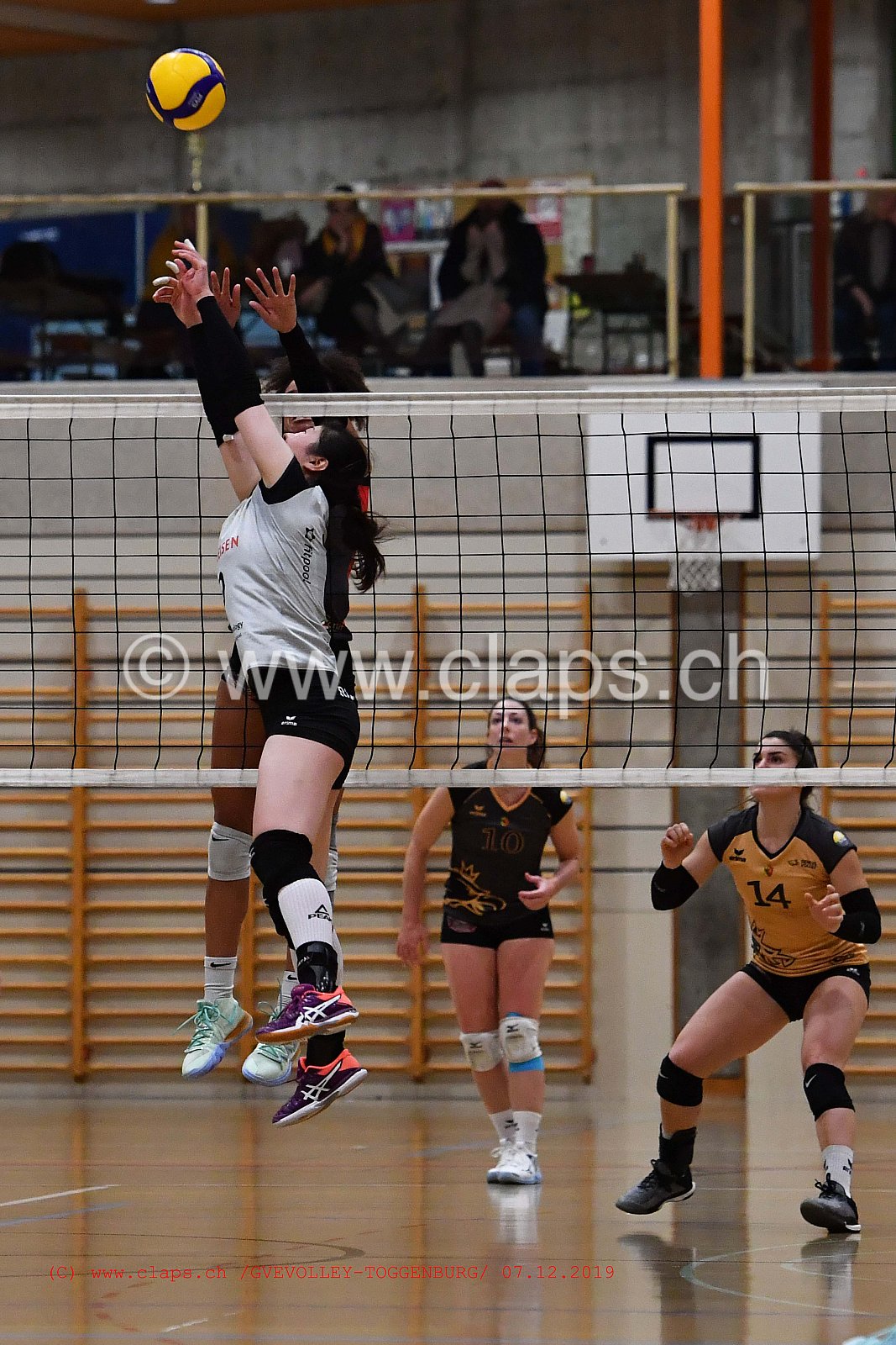 GeneveVolley - Toggenburg