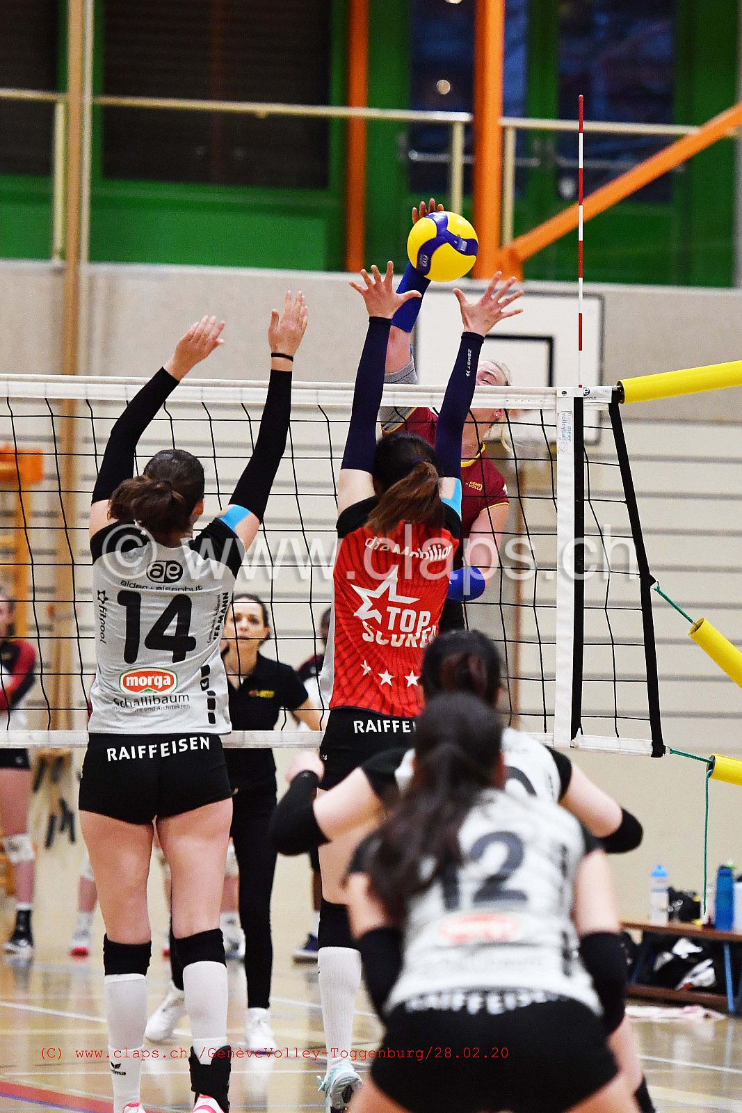GeneveVolley - Toggenburg