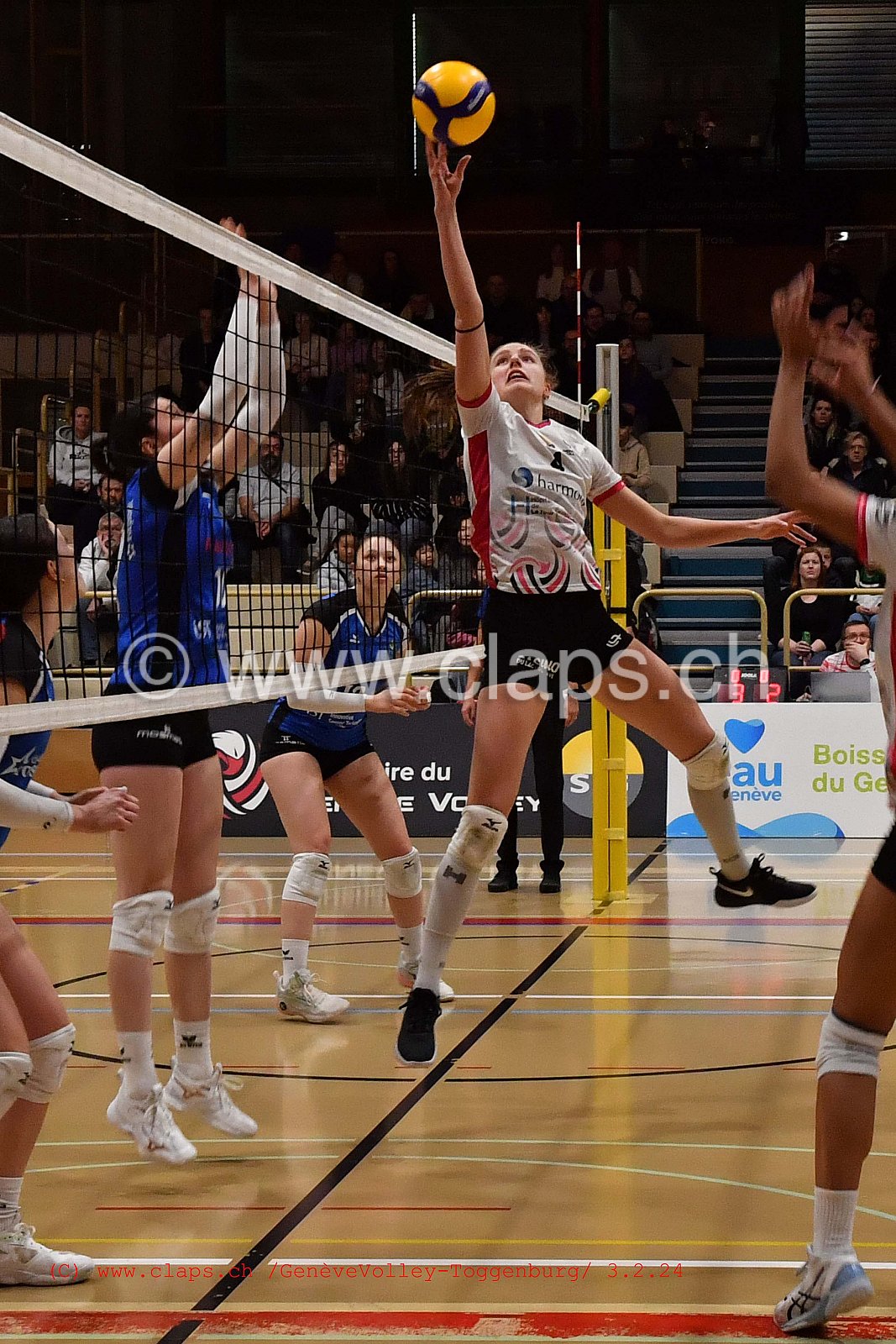 20240203 Geneve Volley - Toggenburg