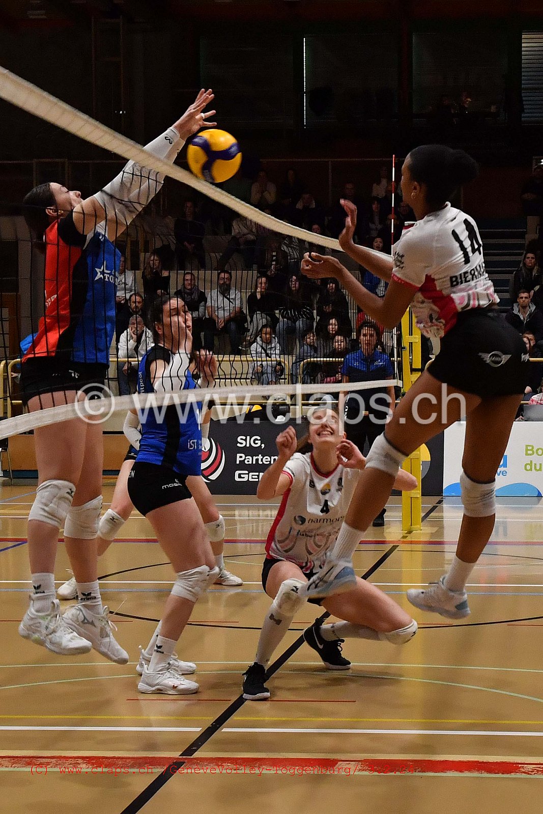 20240203 Geneve Volley - Toggenburg