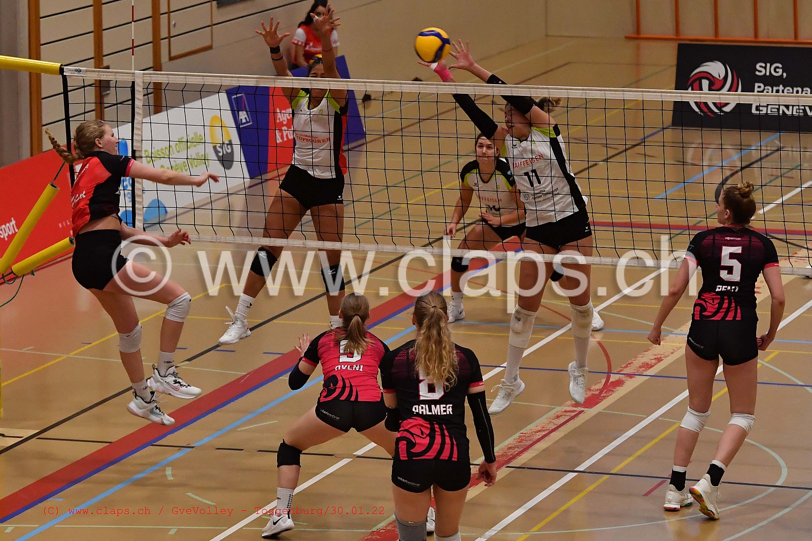 GeneveVolley Toggenburg janvier 2022