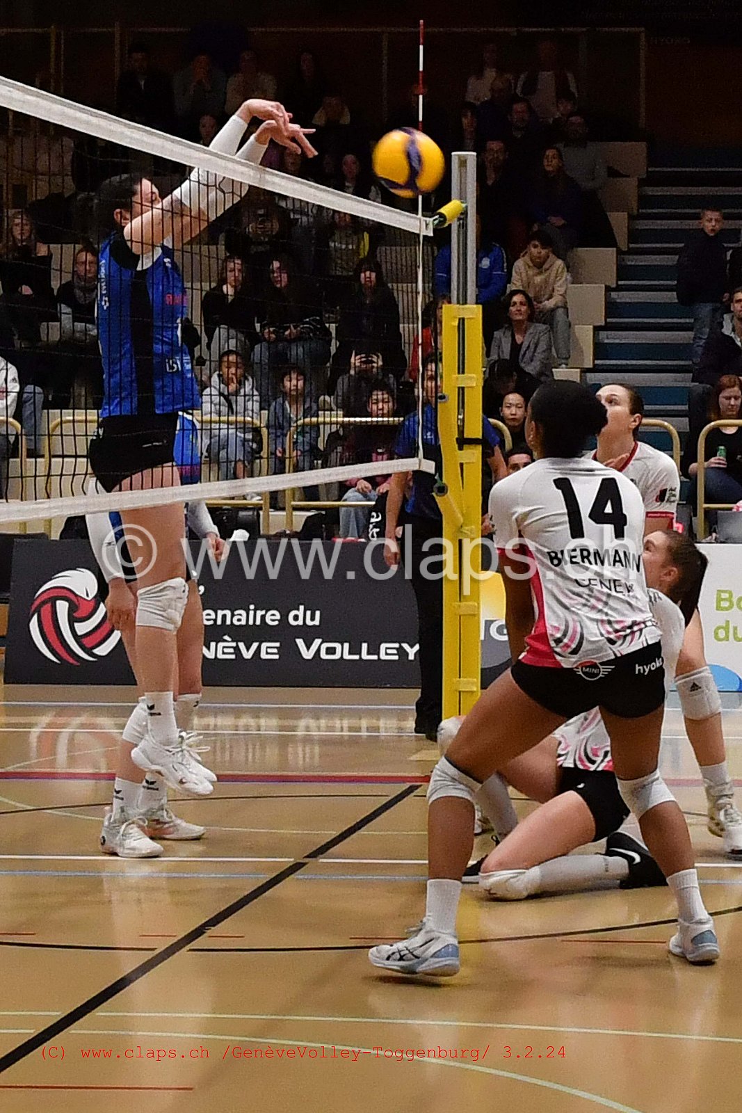20240203 Geneve Volley - Toggenburg