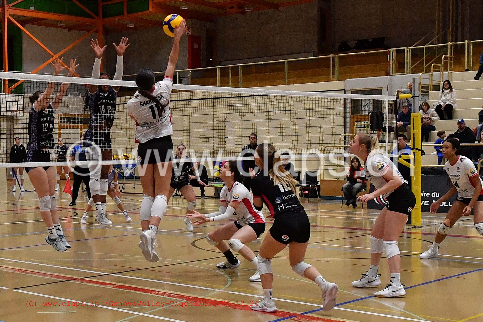 20241207_Infomaniak_GeneveVolley_Toggenburg