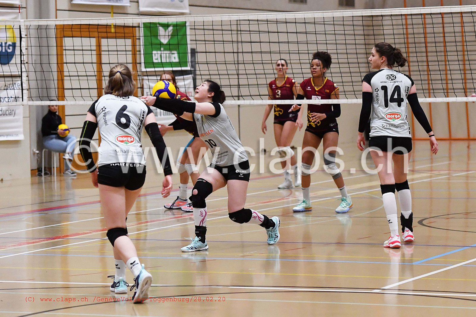 GeneveVolley - Toggenburg