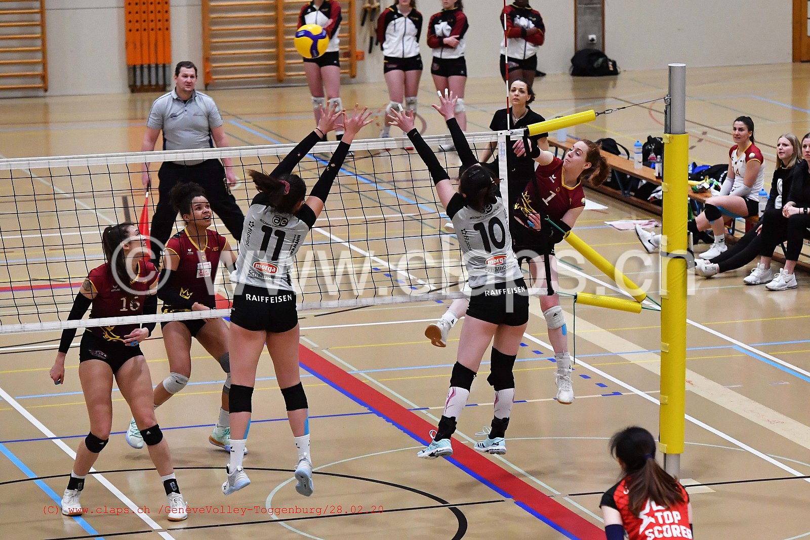 GeneveVolley - Toggenburg