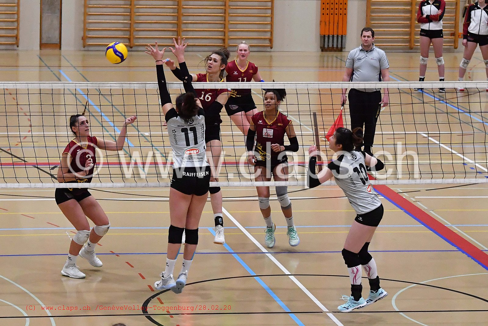 GeneveVolley - Toggenburg