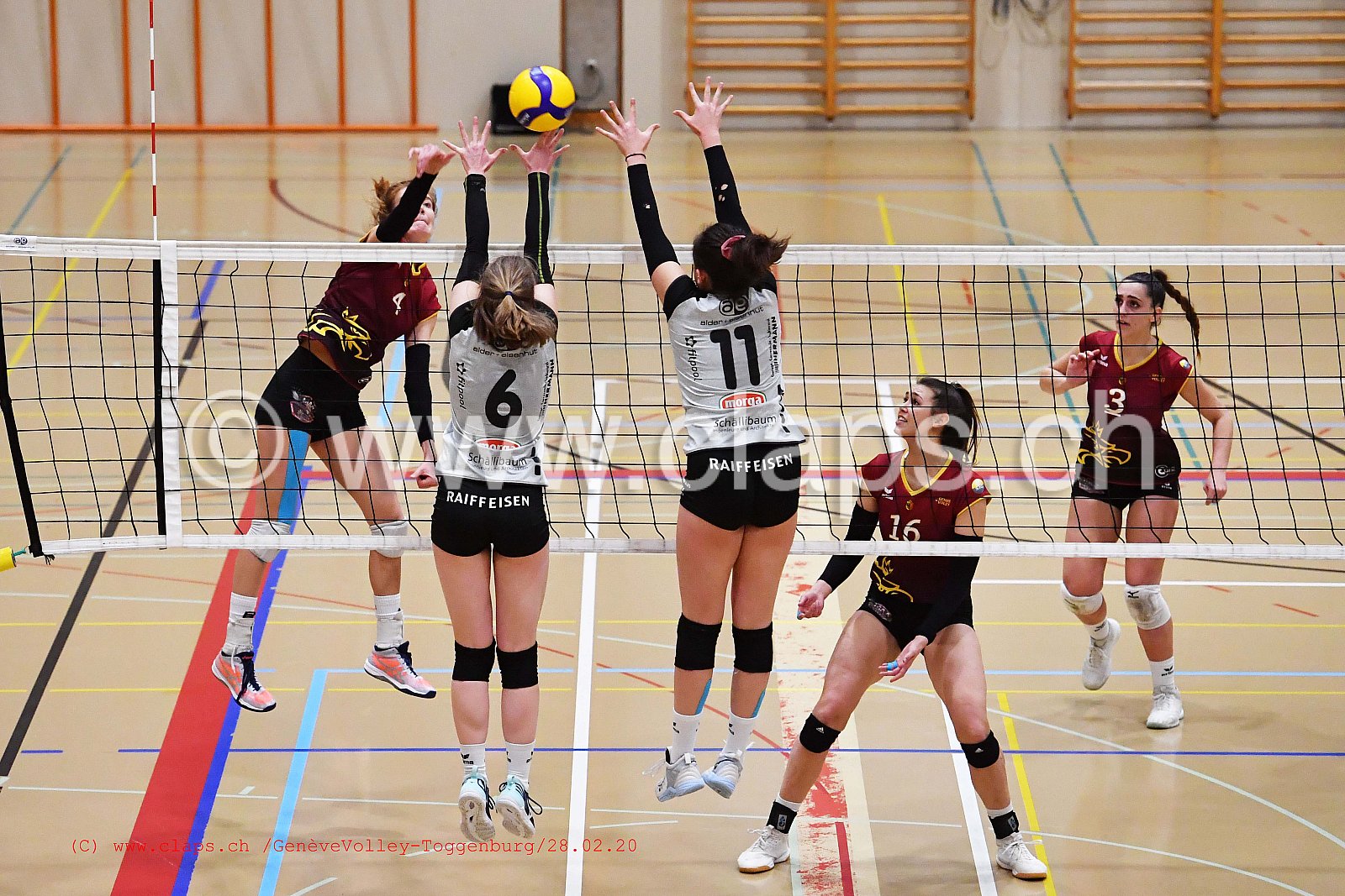 GeneveVolley - Toggenburg