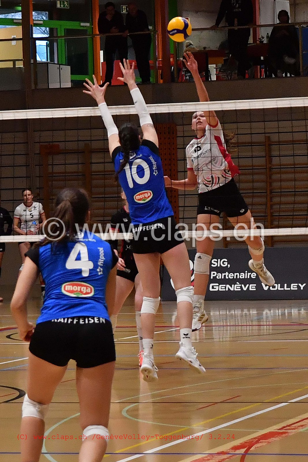 20240203 Geneve Volley - Toggenburg