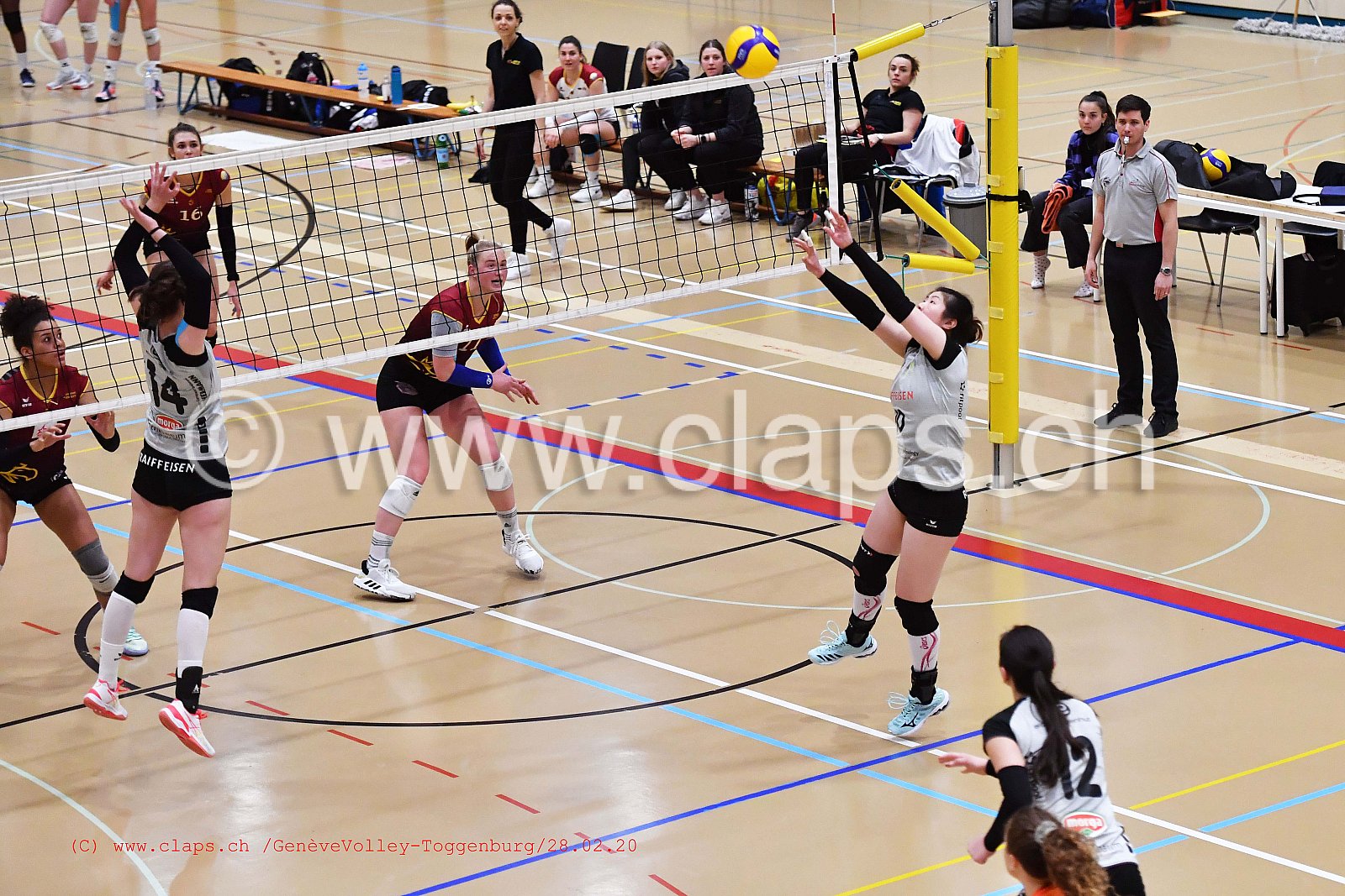 GeneveVolley - Toggenburg