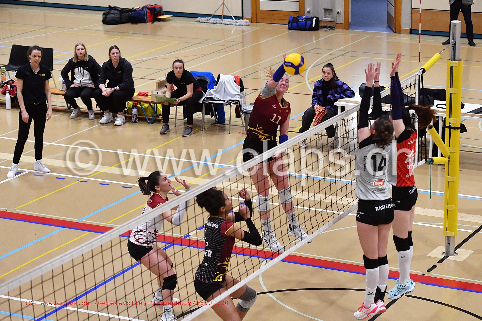 GeneveVolley - Toggenburg