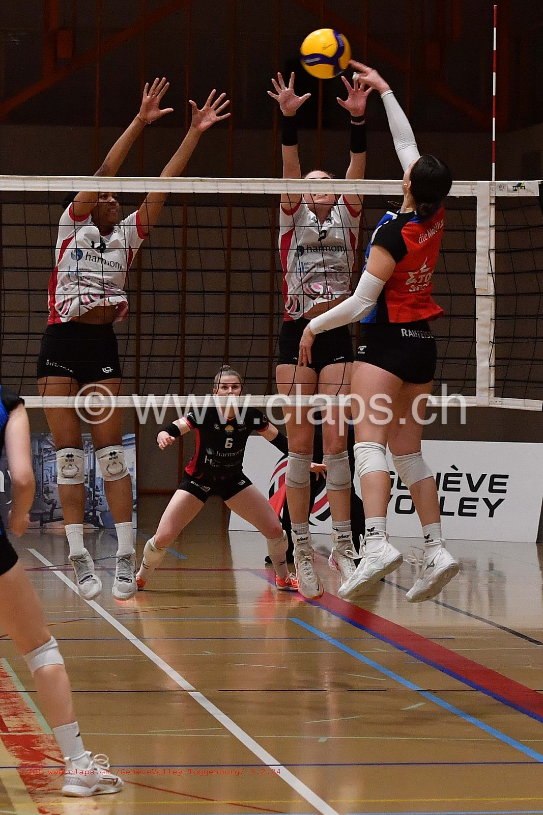 20240203 Geneve Volley - Toggenburg