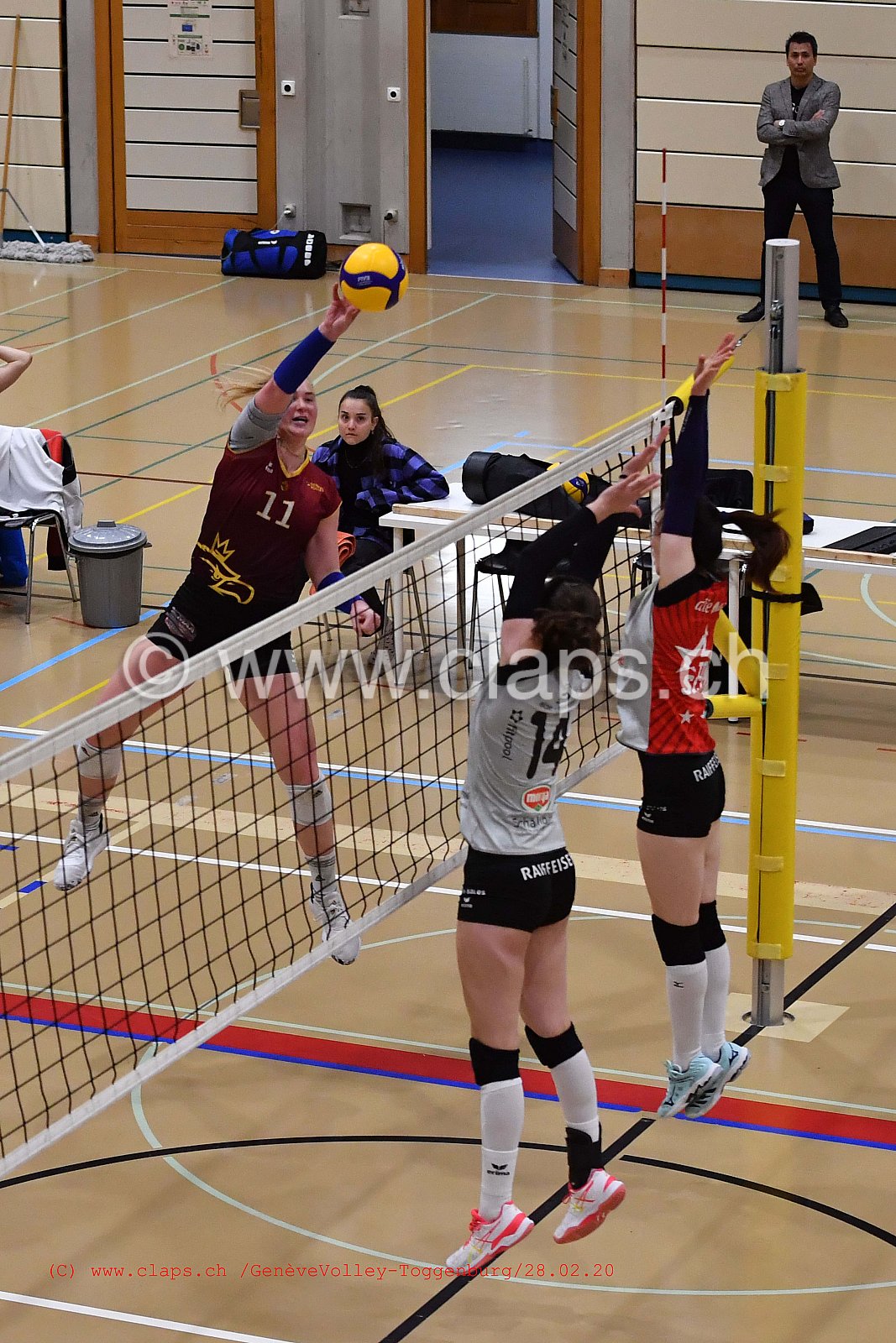 GeneveVolley - Toggenburg