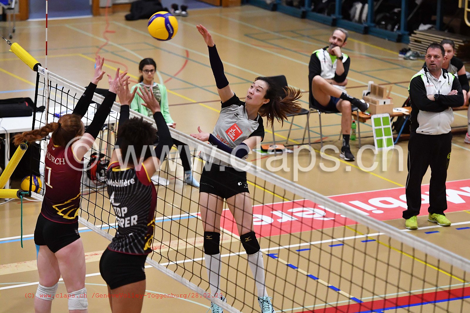 GeneveVolley - Toggenburg