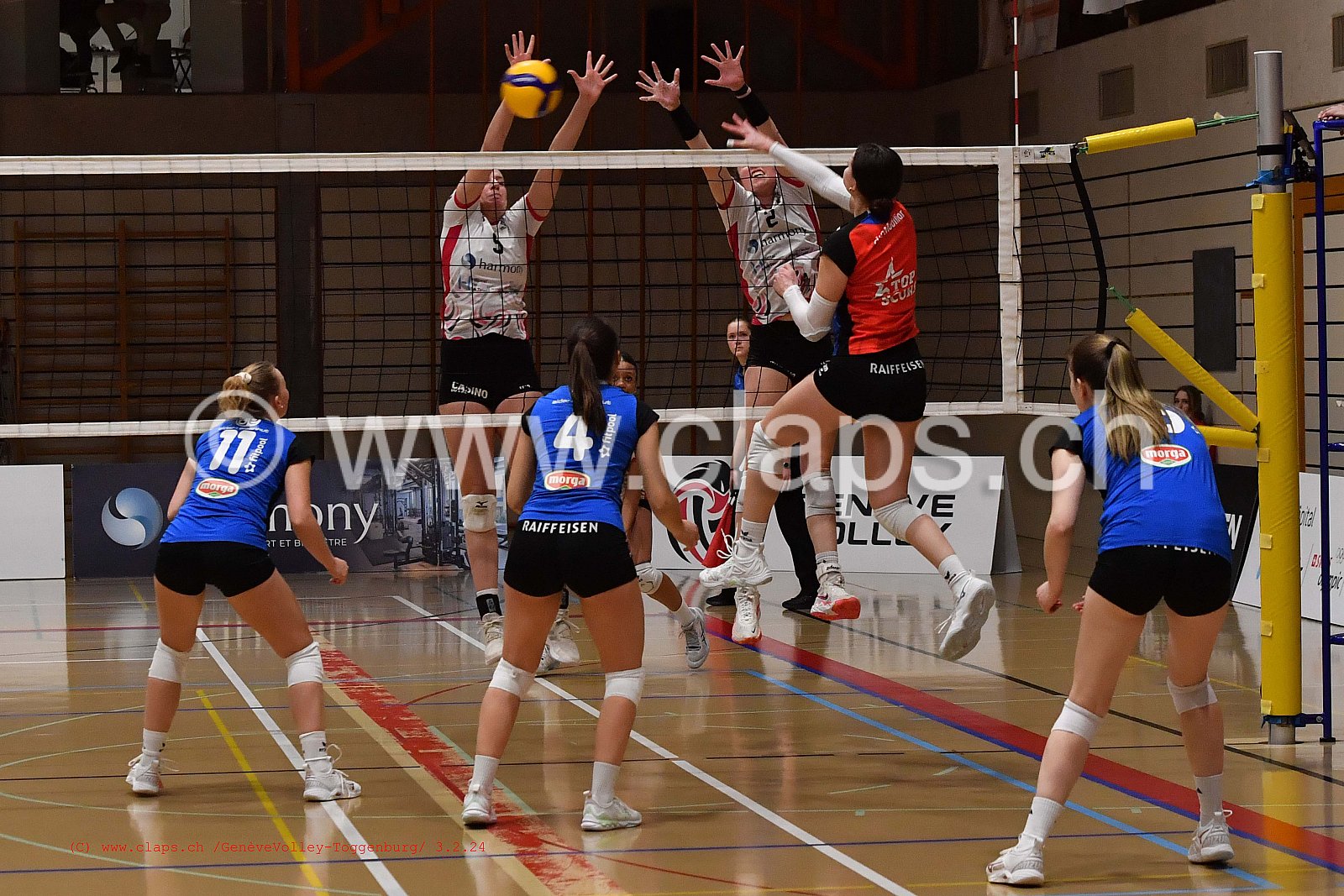 20240203 Geneve Volley - Toggenburg