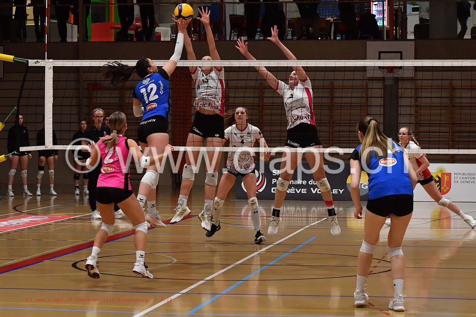 20240203 Geneve Volley - Toggenburg