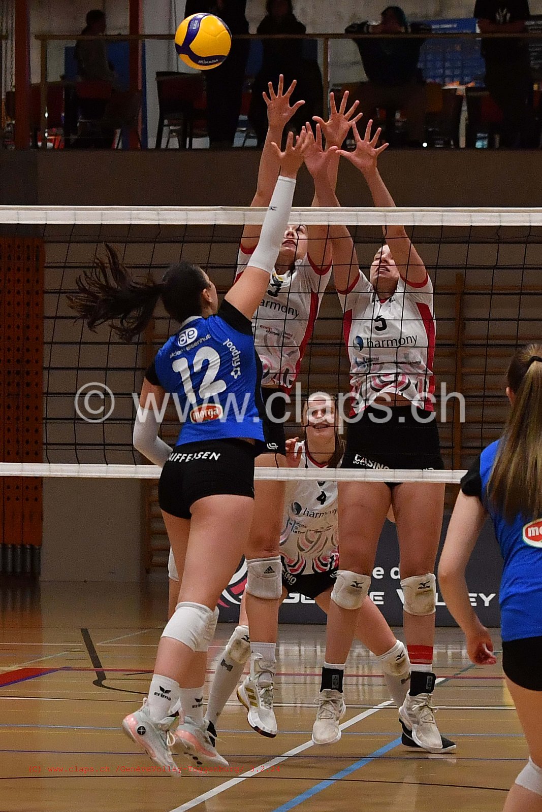20240203 Geneve Volley - Toggenburg