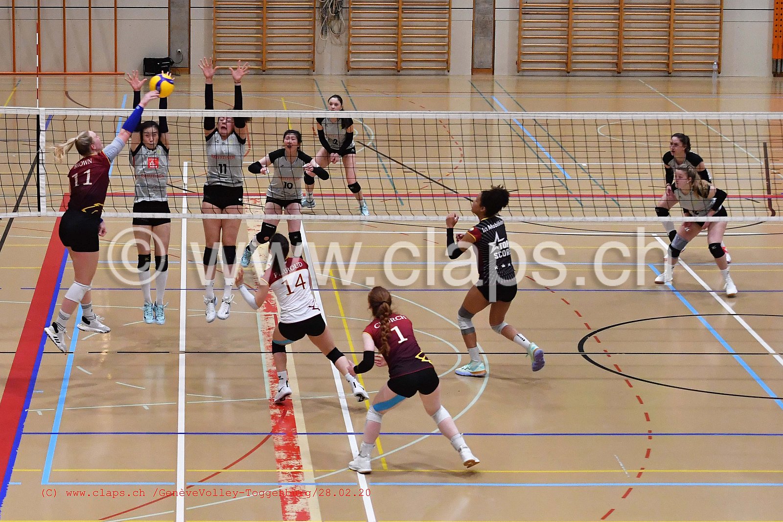 GeneveVolley - Toggenburg