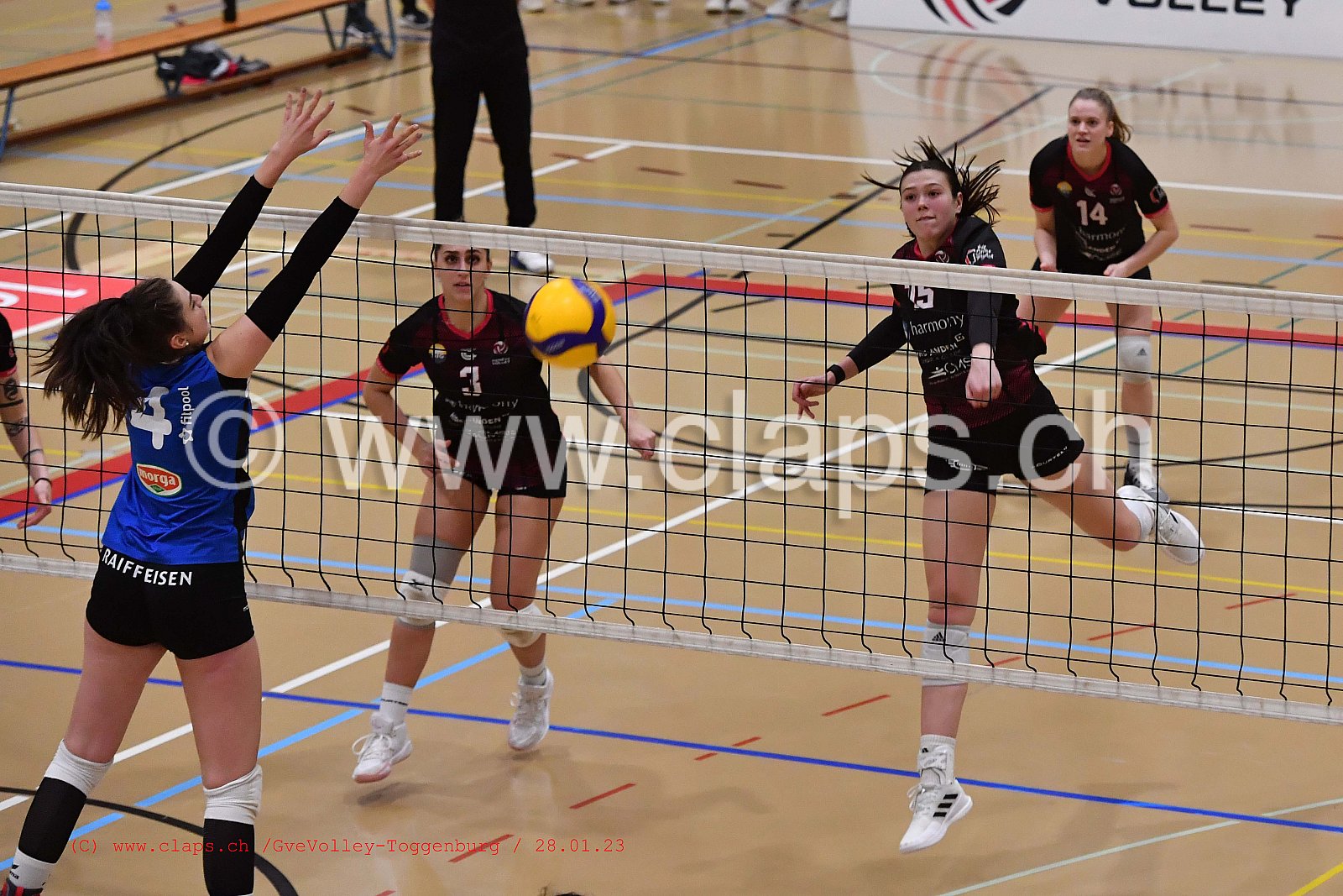 20230128 GenèveVolley - Toggenburg