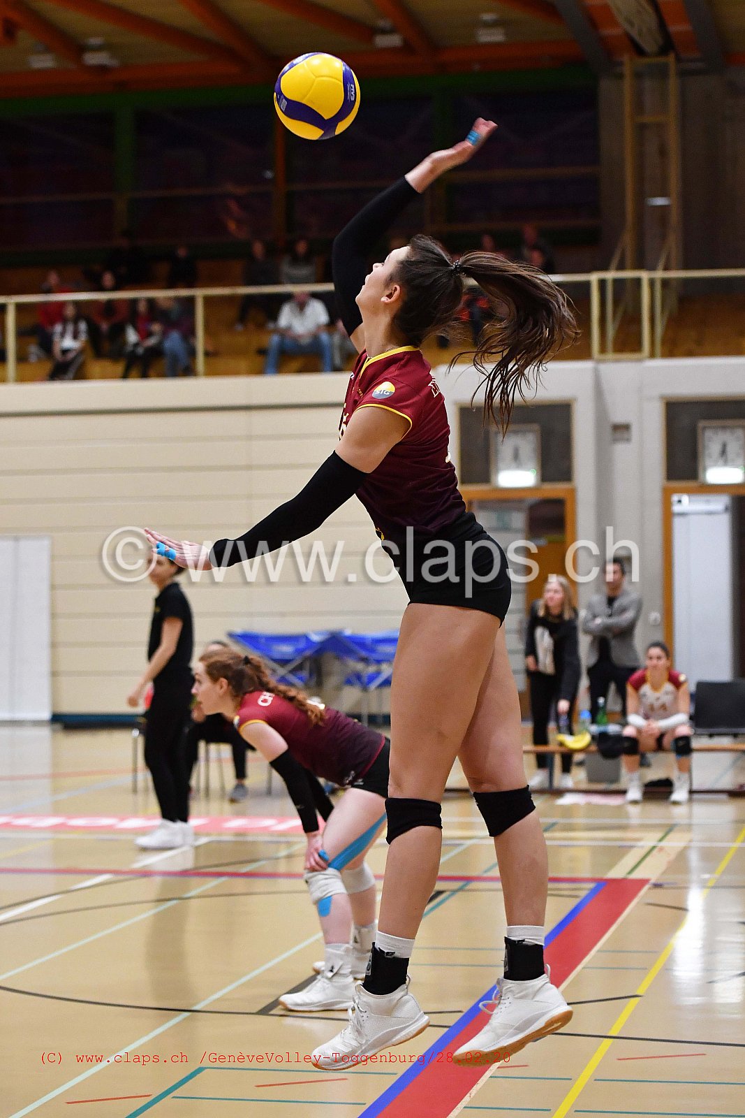 GeneveVolley - Toggenburg