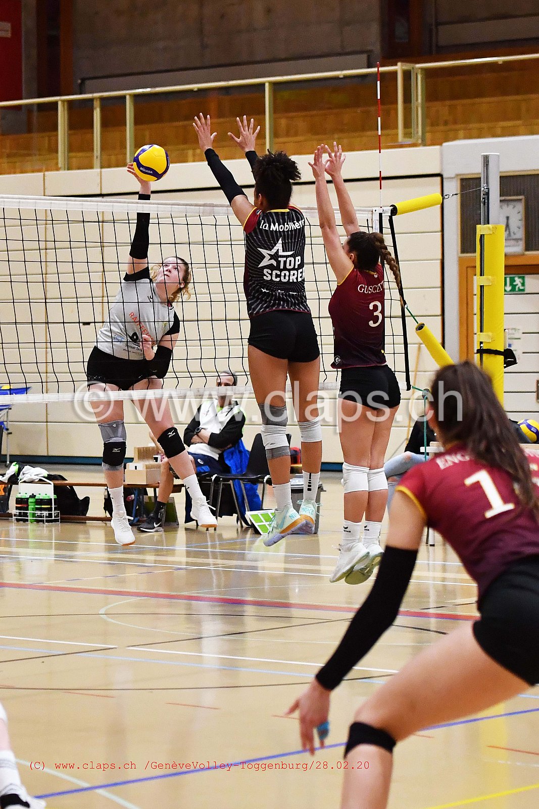 GeneveVolley - Toggenburg
